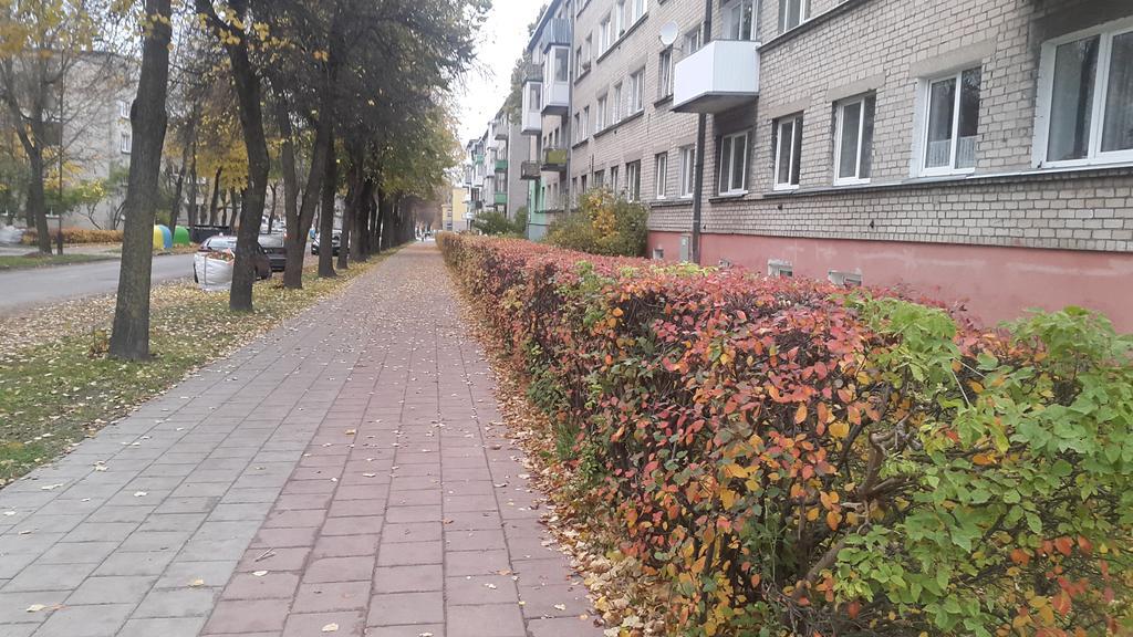 Apartment Dalyce Siauliai  Exterior photo